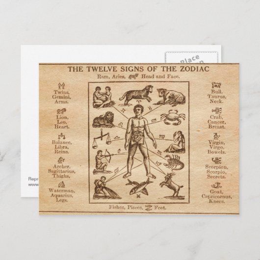 ヴィンテージ12シンボルや象徴の〔占星術の〕十二宮図 ポストカード (正面/裏面)
