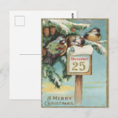 ヴィンテージ12月25日鳥と松のクリスマス ポストカード (正面/裏面)