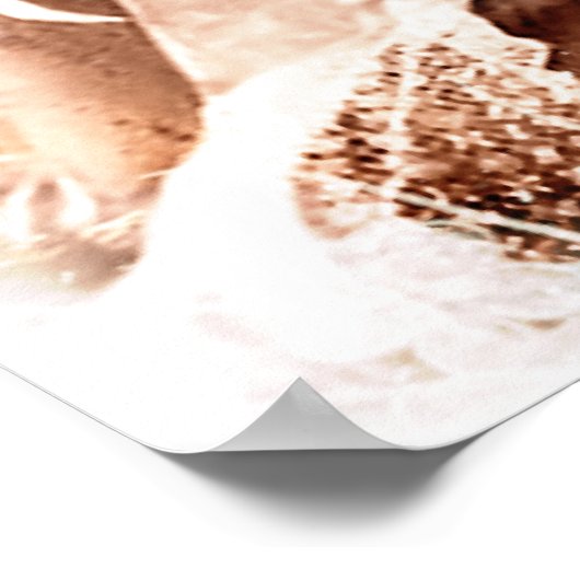 ヴィンテージ14 ポスター (角)