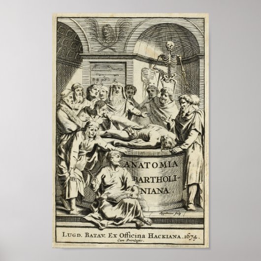 ヴィンテージ1686解剖学教育プリント ポスター (正面)