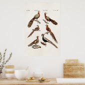 ヴィンテージ1700sキジ鳥遊び – キジ鳥 ポスター (キッチン)