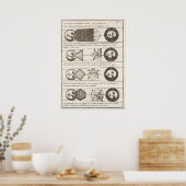 ヴィンテージ18世紀黄道太陽の図 ポスター (キッチン)