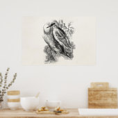 ヴィンテージ1800年代のウグイスの鳥 ポスター (キッチン)