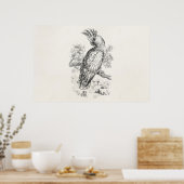 ヴィンテージ1800年代のオウム鳥オウム ポスター (キッチン)