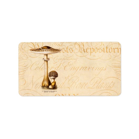 ヴィンテージ1800年代のキノコのアグリカマッシュルームテンプレート ラベル (正面)