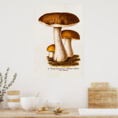 ヴィンテージ1800年代のマッシュルームスカバー茶色のキノコ ポスター (キッチン)