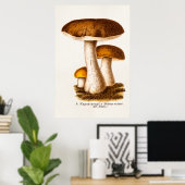 ヴィンテージ1800年代のマッシュルームスカバー茶色のキノコ ポスター (ホームオフィス)