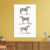 ヴィンテージ1800年代の老馬の品種アラビアンハンターレース キャンバスプリント (インサイチュ (リビング))
