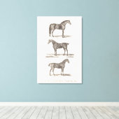 ヴィンテージ1800年代の老馬の品種アラビアンハンターレース キャンバスプリント (インサイチュ (ウッドフロア))