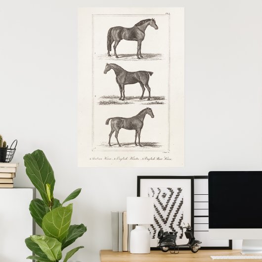 ヴィンテージ1800年代の老馬の品種アラビアンハンターレース ポスター (ホームオフィス)