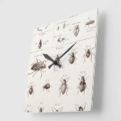 ヴィンテージ1800年代の虫カブトムシイラストレーション スクエア壁時計 (傾斜)