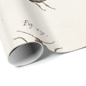 ヴィンテージ1800年代の虫カブトムシイラストレーション ラッピングペーパー (ロールコーナー)