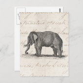 ヴィンテージ1800年代の象のイラスト - 象 ポストカード (正面/裏面)
