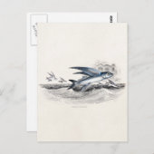ヴィンテージ1800年代の青飛んでいるい魚の海波 ポストカード (正面/裏面)