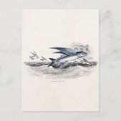 ヴィンテージ1800年代の青飛んでいるい魚の海波 ポストカード (正面)