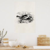 ヴィンテージ1800年代の鳥の雪よけ鳥のイラストレーション ポスター (キッチン)