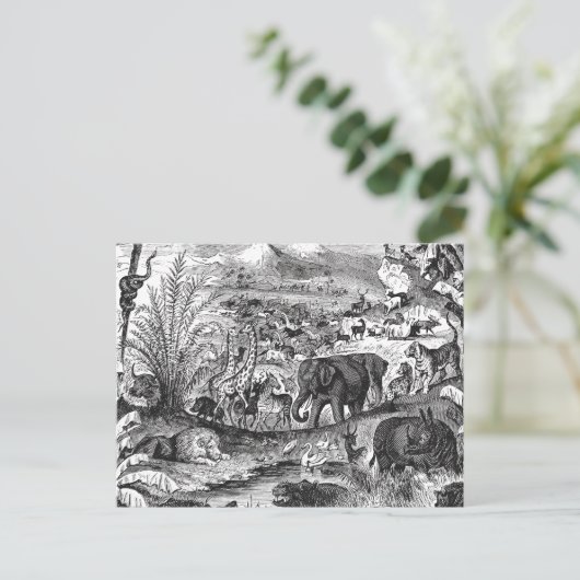 ヴィンテージ1800年代アフリカ動物イラストレーション動物 ポストカード (スタンド正面)