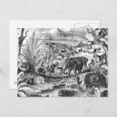 ヴィンテージ1800年代アフリカ動物イラストレーション動物 ポストカード (正面/裏面)