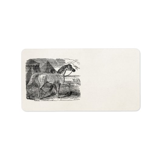 ヴィンテージ1800年代アラビア馬ピラミッドイラストレーション ラベル (正面)