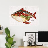 ヴィンテージ1800年代オッパ熱帯魚スポーツのスケッチ ポスター (ホームオフィス)