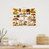 ヴィンテージ1800年代キノコ品種テンプレート ポスター (キッチン)