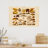 ヴィンテージ1800年代キノコ品種テンプレート ポスター (キッチン)