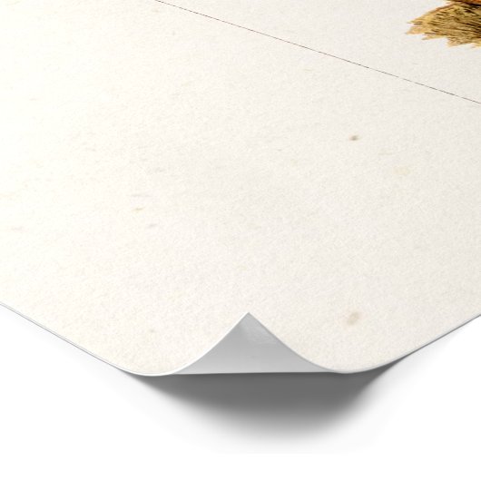 ヴィンテージ1800年代キノコ品種レッドキノコ ポスター (角)