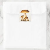 ヴィンテージ1800年代キノコ食用キノコテンプレート スクエアシール (バッグ)