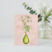 ヴィンテージ1800年代ナシ花コラージュテンプレート ポストカード (スタンド正面)