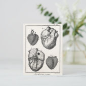 ヴィンテージ1800年代ハートレトロ心臓解剖学ハート ポストカード (スタンド正面)