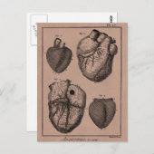 ヴィンテージ1800年代ハートレトロ心臓解剖学ハート ポストカード (正面/裏面)