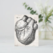 ヴィンテージ1800年代ハートレトロ心臓解剖学ハート ポストカード (スタンド正面)