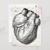 ヴィンテージ1800年代ハートレトロ心臓解剖学ハート ポストカード (正面/裏面)