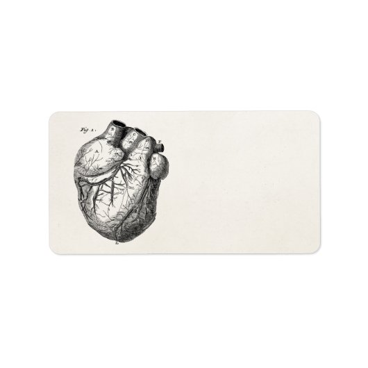 ヴィンテージ1800年代ハートレトロ心臓解剖学ハート ラベル (正面)