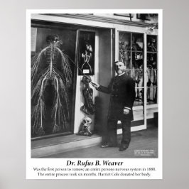 ヴィンテージ1800年代ヒト神経系 ポスター