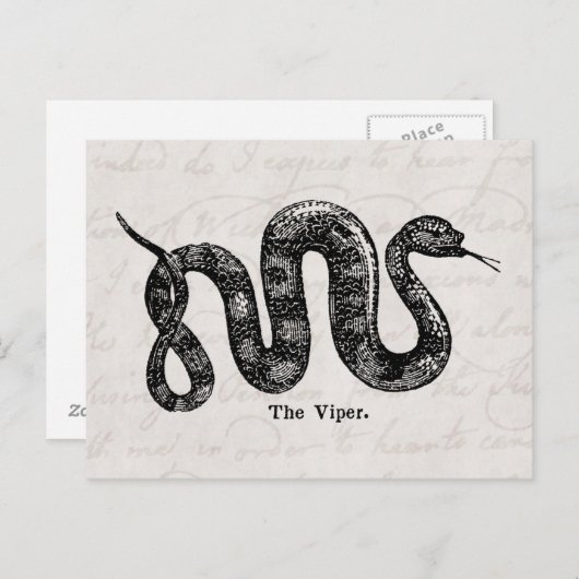 ヴィンテージ1800年代ビパースネークアンティークスネークビパー ポストカード (正面/裏面)