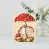 ヴィンテージ1800年代マッシュルーム赤いキノコのテンプレート ポストカード (スタンド正面)