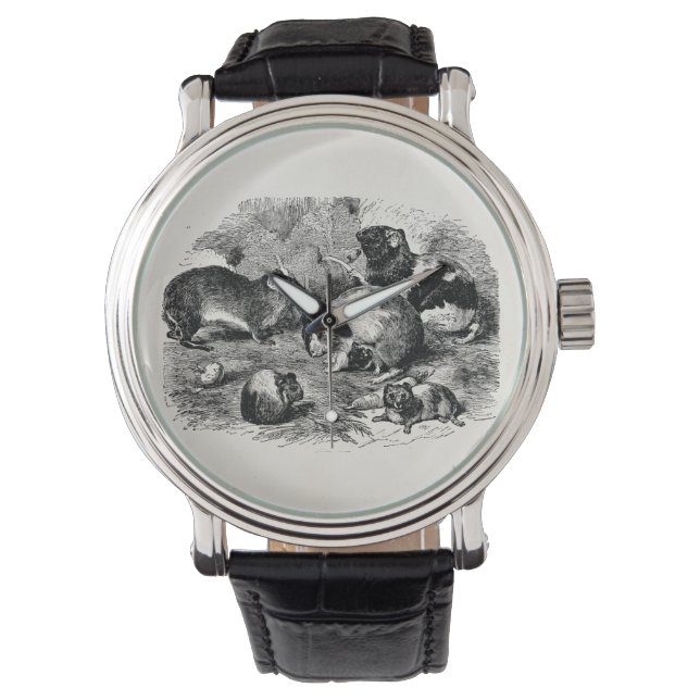 ヴィンテージ1800年代モルモットレトロオールドモルモット 腕時計 (正面)