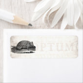 ヴィンテージ1800年代レトロアルマジロアンティークアルマジロス ラベル (インサイチュ)