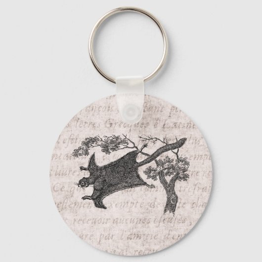 ヴィンテージ1800飛んでいるsリス – シュガーグライダー キーホルダー (正面)