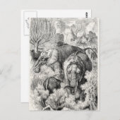 ヴィンテージ1800sアフリカゾウ – ゾウ ポストカード (正面/裏面)