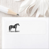 ヴィンテージ1800sアラビア馬イラストレーション – 馬 ラベル (インサイチュ)