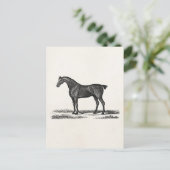 ヴィンテージ1800sイングリッシュハンターホース狩り馬 ポストカード (スタンド正面)