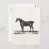 ヴィンテージ1800sイングリッシュハンターホース狩り馬 ポストカード (正面/裏面)