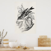 ヴィンテージ1800sオールドマウンテンフィンチバードイラストレーション ポスター (キッチン)