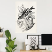 ヴィンテージ1800sオールドマウンテンフィンチバードイラストレーション ポスター (ホームオフィス)