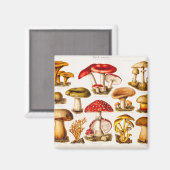 ヴィンテージ1800sキノコ品種テンプレート マグネット (正面/裏面)