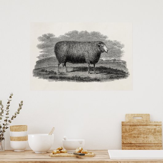 ヴィンテージ1800sシープエウェイラストレーションレトロウール ポスター (キッチン)