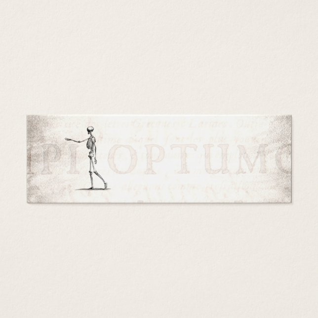 ヴィンテージ1800sスケルトンアンティーク解剖学的骨格 (正面)