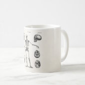 ヴィンテージ1800sスケルトンアンティーク解剖学的骨格 コーヒーマグカップ (正面右)